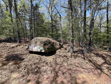 Escape to 9.2 acres +/- of scenic recreational timberland with - photo 15