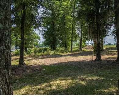 Lake Blackshear Lot For Sale in Warwick Georgia