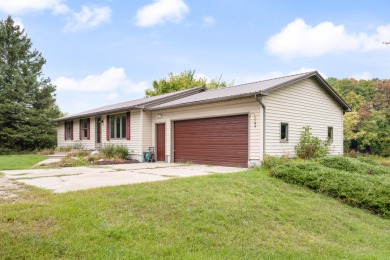 Lake Home For Sale in Paris, Michigan