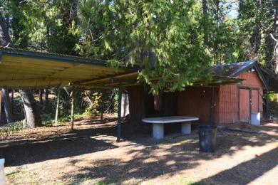 Bass Lake Cabin on a large lot - photo 3