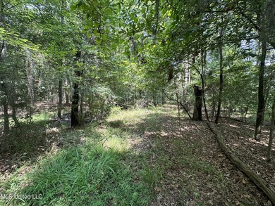 One of the few remaining lots left in ViewPointe! Build your - photo 2