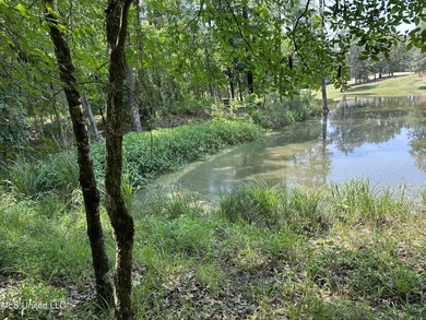 One of the few remaining lots left in ViewPointe! Build your - photo 3