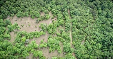 17 wooded acres with a clearing at the top of the property to - photo 11