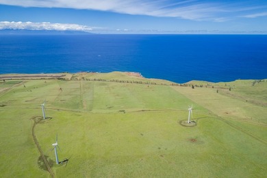 Oceanfront acreage adjacent to a paved airstrip! Located on the - photo 11