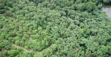 17 wooded acres with a clearing at the top of the property to - photo 12