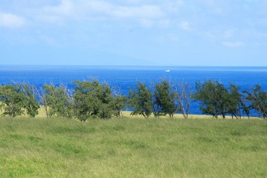 Oceanfront acreage adjacent to a paved airstrip! Located on the - photo 12
