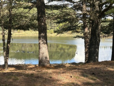 Lake Lot For Sale in Stanwood, Michigan