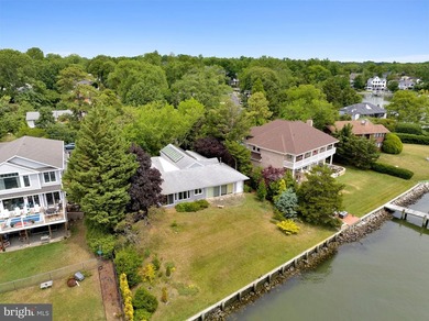 ** Rare Mid-Century Modern Waterfront Sanctuary on Bay View - photo 5