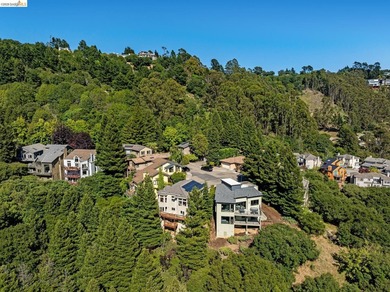 Tucked into a private cul-de-sac in Oakland Hills' coveted - photo 38