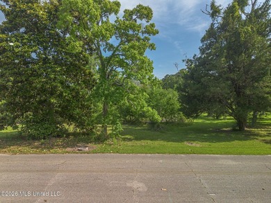 Prime Multi-Family Development Opportunity on the Mississippi - photo 2