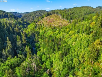 Own a piece of paradise on the upper North Fork River.Zoned F2 - photo 2