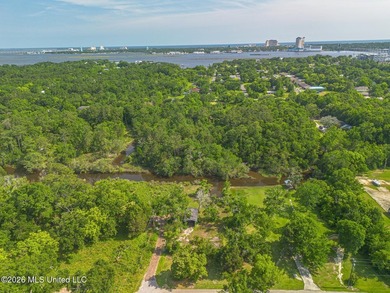 Prime Multi-Family Development Opportunity on the Mississippi - photo 3