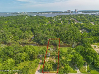 Prime Multi-Family Development Opportunity on the Mississippi - photo 4