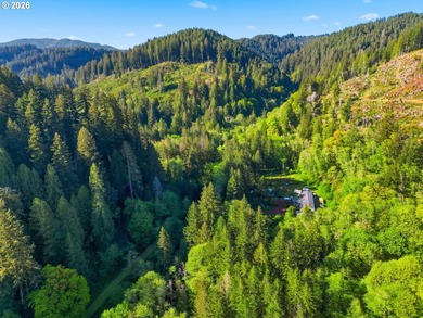 Own a piece of paradise on the upper North Fork River.Zoned F2 - photo 4