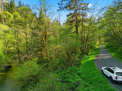 Own a piece of paradise on the upper North Fork River.Zoned F2 - photo 10