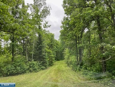 Looking for some recreational land with river frontage? Here is - photo 5