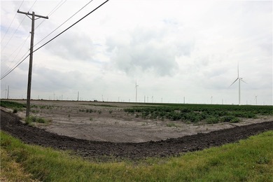With the industrial expansion in South Texas, yesterday's farm - photo 11
