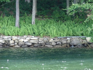 Set along the serene shores of Woodridge Lake, Lot 5 on Milton - photo 11