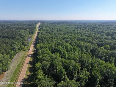 This 105 +/- acres is located in Lincoln County, Mississippi - photo 1