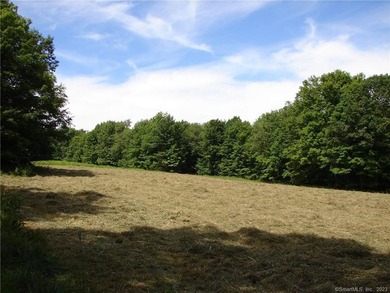 Set along the serene shores of Woodridge Lake, Lot 5 on Milton - photo 12