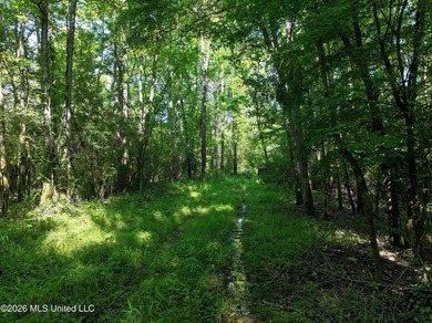 This 105 +/- acres is located in Lincoln County, Mississippi - photo 2