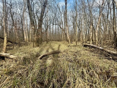 31.94 acres of recreational timber located along the Little - photo 12