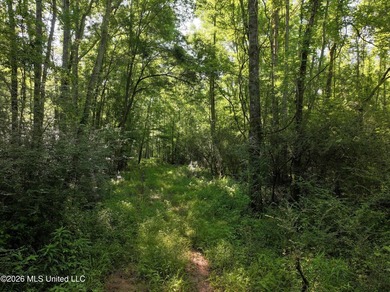 This 105 +/- acres is located in Lincoln County, Mississippi - photo 3