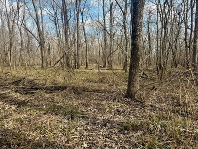 31.94 acres of recreational timber located along the Little - photo 13