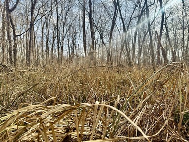 31.94 acres of recreational timber located along the Little - photo 15