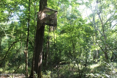 This 105 +/- acres is located in Lincoln County, Mississippi - photo 6