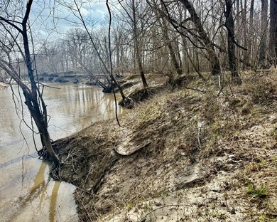 31.94 acres of recreational timber located along the Little - photo 17