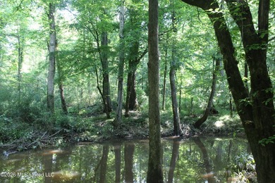 This 105 +/- acres is located in Lincoln County, Mississippi - photo 8