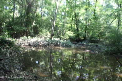 This 105 +/- acres is located in Lincoln County, Mississippi - photo 9