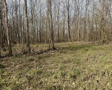 31.94 acres of recreational timber located along the Little - photo 19