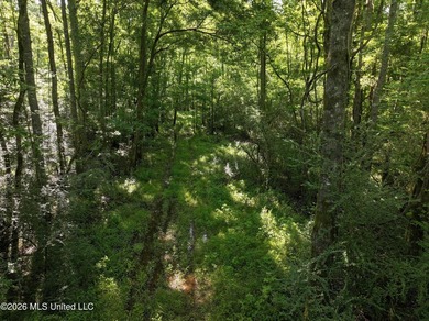 This 105 +/- acres is located in Lincoln County, Mississippi - photo 10
