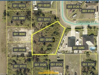 Lehigh Acres Area Lot For Sale in Lehigh Acres Florida