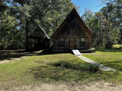 Toledo Bend Reservoir Home For Sale in Zwolle Louisiana