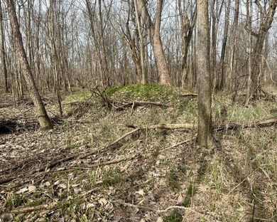 31.94 acres of recreational timber located along the Little - photo 21
