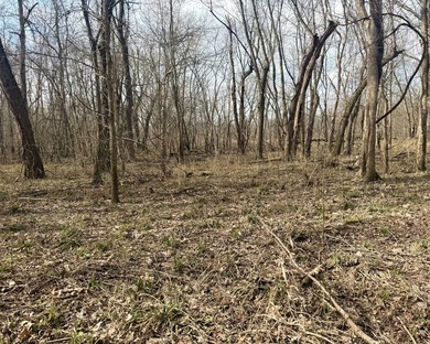 31.94 acres of recreational timber located along the Little - photo 22