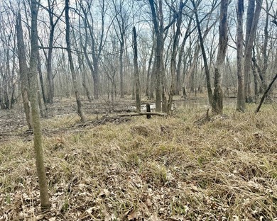 31.94 acres of recreational timber located along the Little - photo 24