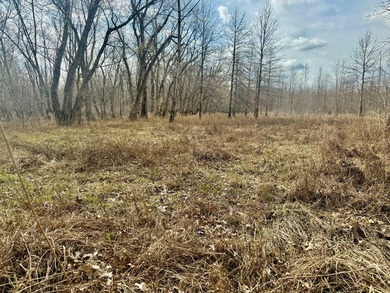 31.94 acres of recreational timber located along the Little - photo 25