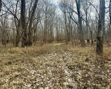 31.94 acres of recreational timber located along the Little - photo 26