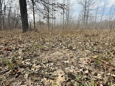 31.94 acres of recreational timber located along the Little - photo 27