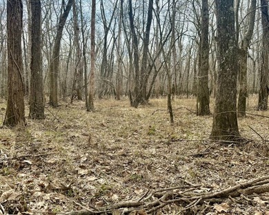 31.94 acres of recreational timber located along the Little - photo 28
