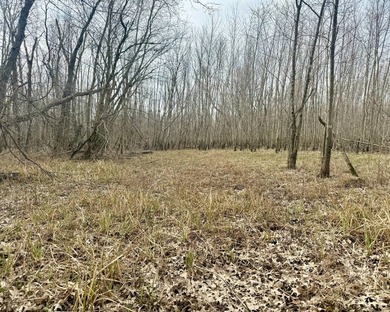 31.94 acres of recreational timber located along the Little - photo 30