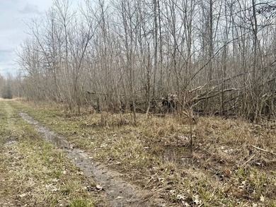 31.94 acres of recreational timber located along the Little - photo 32