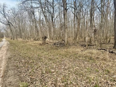31.94 acres of recreational timber located along the Little - photo 34