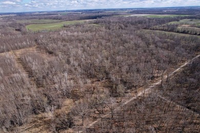 31.94 acres of recreational timber located along the Little - photo 35