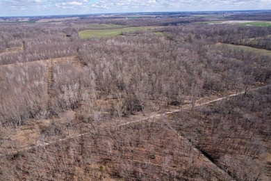 31.94 acres of recreational timber located along the Little - photo 36