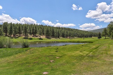 This premier property offers a coveted location for golf - photo 38